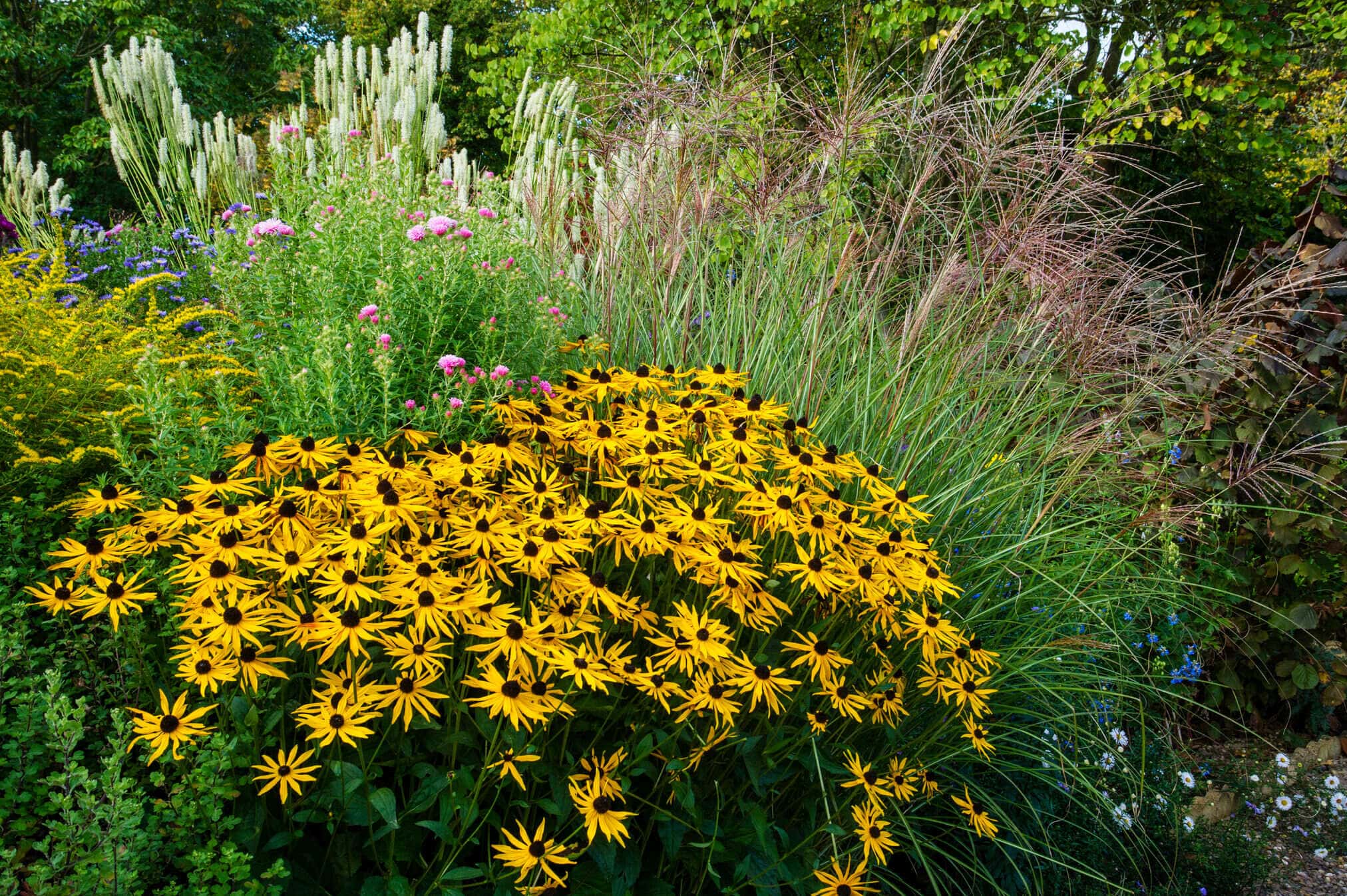 Beautiful garden background