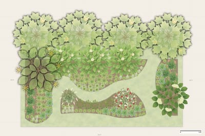 Illinois Woodland Garden