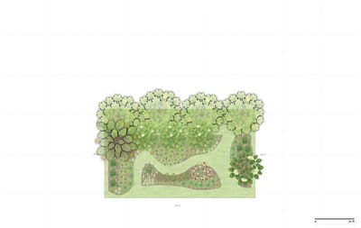 Illinois Woodland Garden