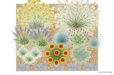 Colorado Curbside Garden