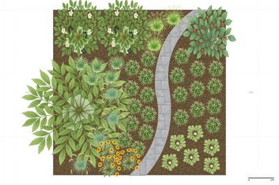 Minnesota Woodland Garden