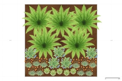 Chicago Colorful Shade