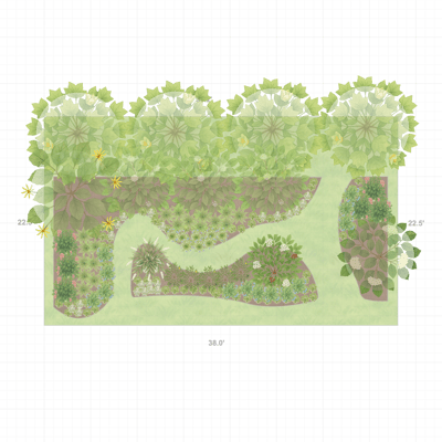 Illinois Woodland Garden