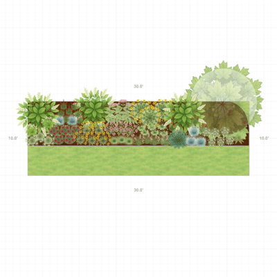 Native Border Garden