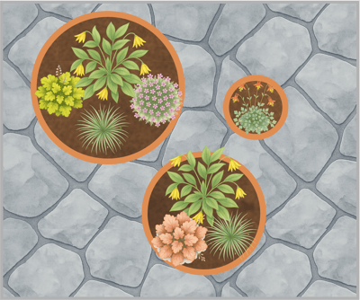 Container garden